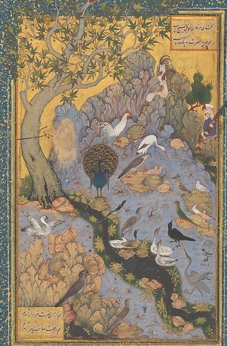 "The Concourse of the Birds", Folio 11r from a Mantiq al-Tayr (Language of the Birds), Habiballah of Sava  Iranian, Ink, opaque watercolor, gold, and silver on paper