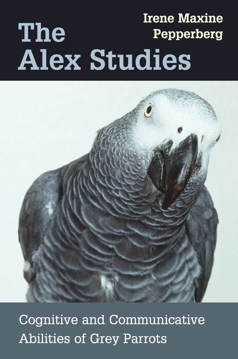 book: The Alex Studies book: The Alex Studies