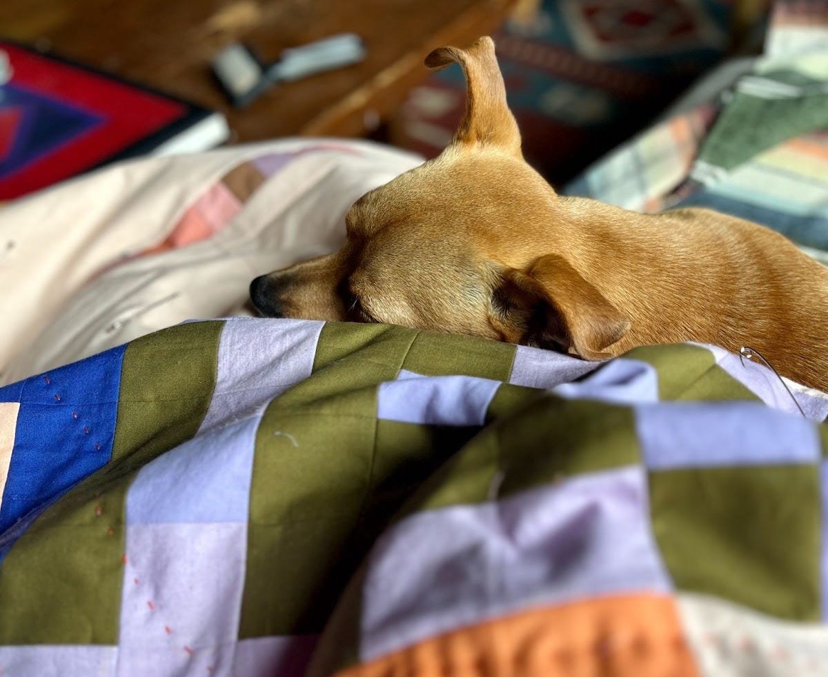Bagel rests his little keppe on my lap while I hand stitch this quilt. Bagel rests his little keppe on my lap while I hand stitch this quilt.