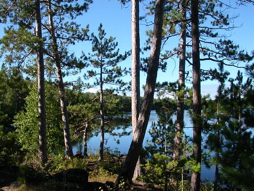 northwoods