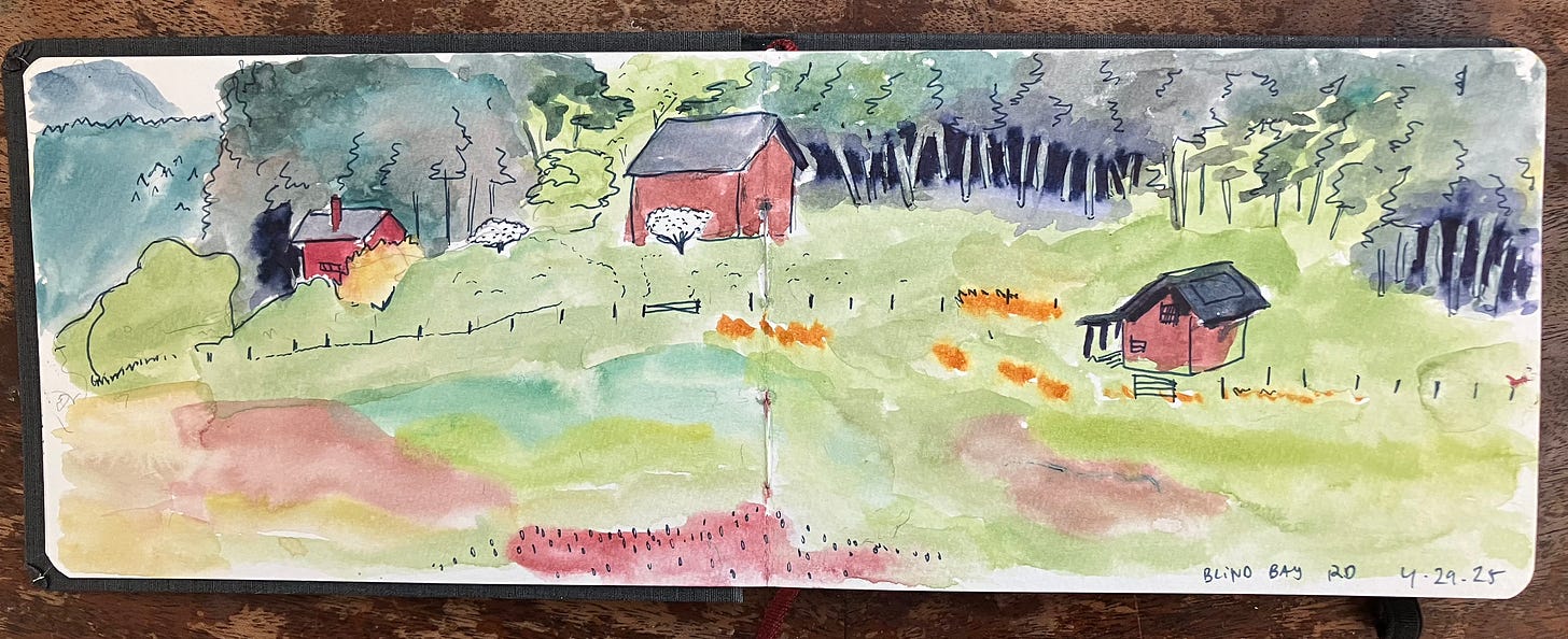 a painting of a meadow with three red buildings in it & a wall of trees at the far end