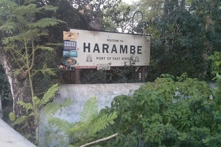 Uniquely Disney: Disney's Animal Kingdom Africa - WDW News Today