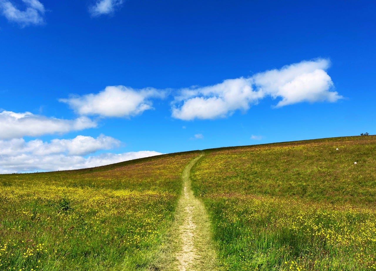 Green flowered hill against blue sky. Cadence no4 Finding Rhythm by Mich Bondesio, Creating Cadence.