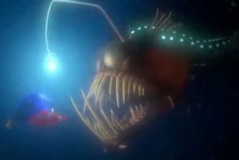 Image result for Finding Nemo picture of scary fish with teeth hiding in the dark