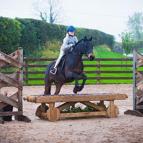 True Working Hunters out at Hagans Croft Final