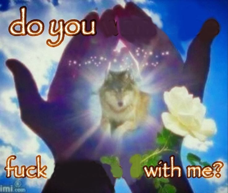 This may contain: a hand holding a cat with the words do you f k with me?