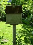 IMG_7682 IMG_7682