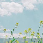 The Hidden Power of Nature Data