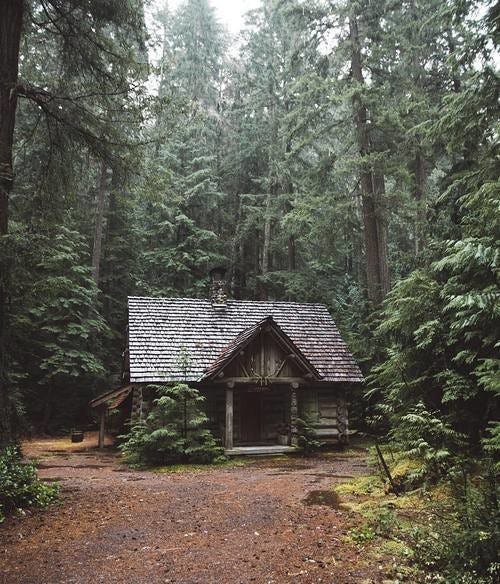 Bill Gates pasa dos semanas al año aislado en el bosque. Acá te cuento por  qué.