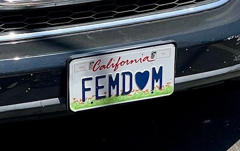 License plates reading DOGGRL, EX TESLA, SXYNURS, 2HENTAI, FEMD❤️M, and DZOOGOO