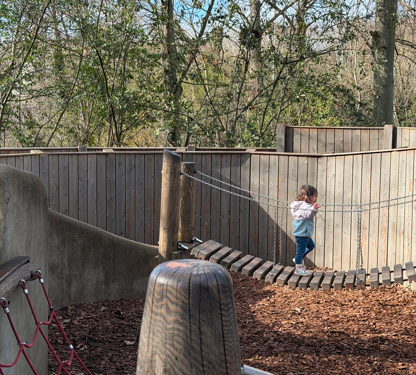 little ferraro walks on a wooden bridge in a playground in london with trees in the background