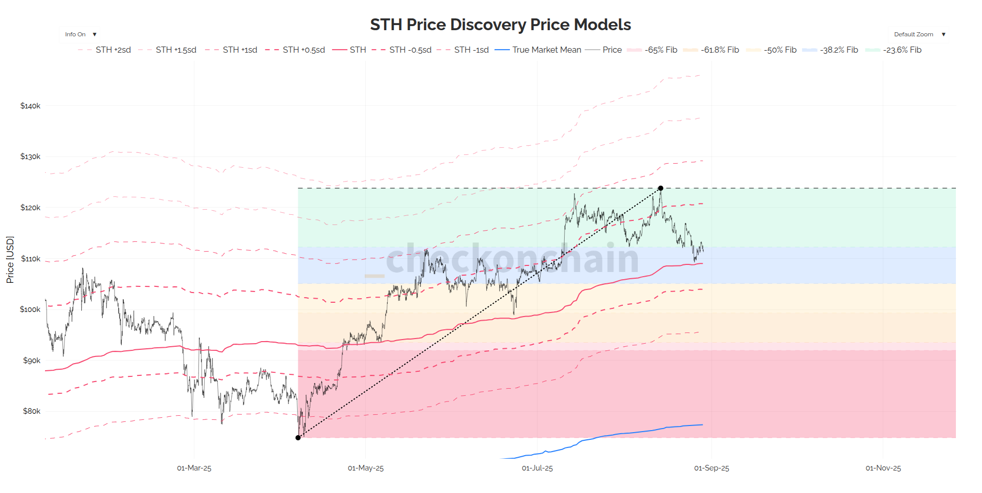 Bitcoin Tags The STH Cost Basis