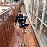 Anthropology.net