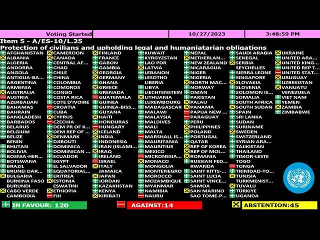 UN General Assembly adopts Gaza resolution calling for immediate &  sustained humanitarian truce - YouTube