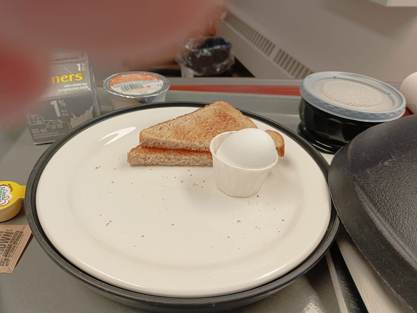 One boiled egg in a paper cup. One slice of unbuttered brown bread.
