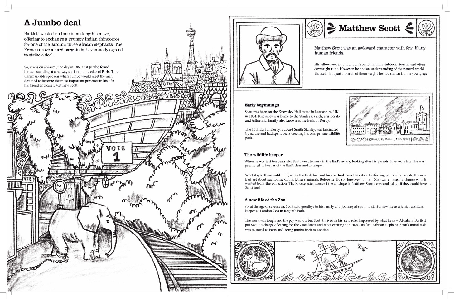 A rough illustration of a small elephant waiting at a Parisian train station and a fact file on Matthew Scott.