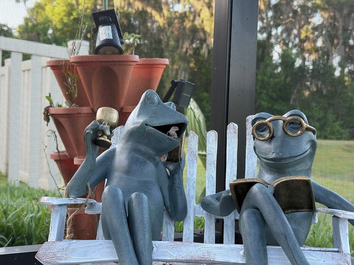 A lizard perched inside one of 2 frog figurines poolside- by Nancy Metivier (with permission) 2026