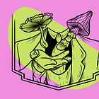 Two New Species of Psilocybe Have Been Discovered