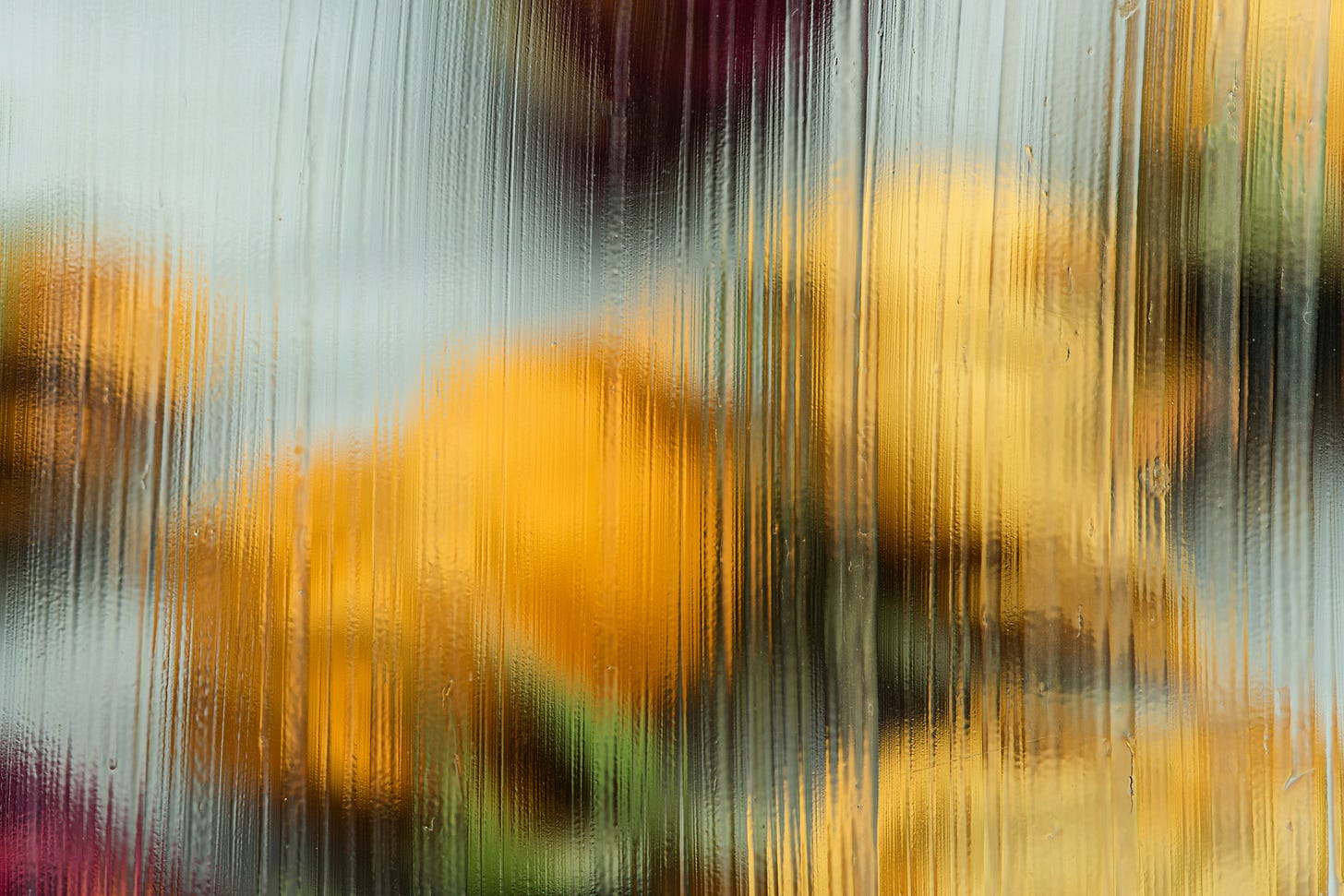 Immagine di Patrycja Jadach