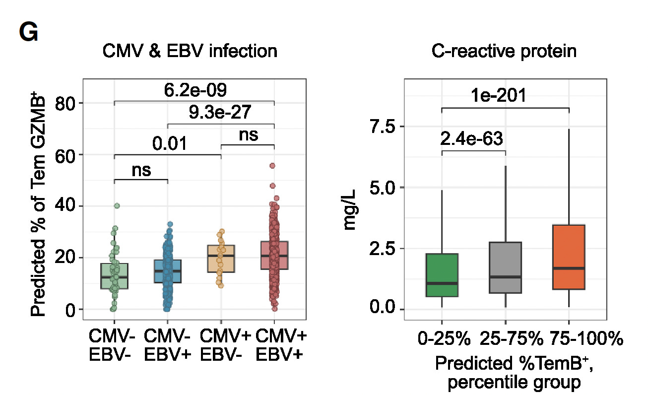 A tale of two T cells - by Eric Topol