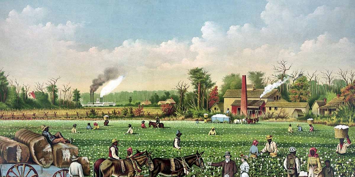 The New Plantation Politics