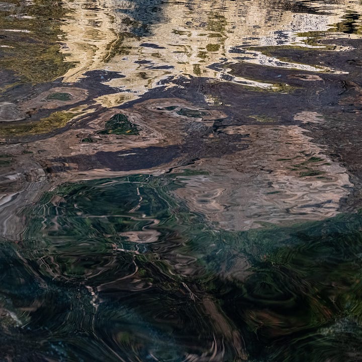 A diptych. On the left, a jelly-fish illuminated by the sun lies next to strands of seaweed; On the right, ripples of greens, blues, yellows and browns - rocks reflected on the water.