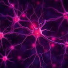 A Gentle Beginning: Understanding Your Nervous System as Protector, Not Enemy