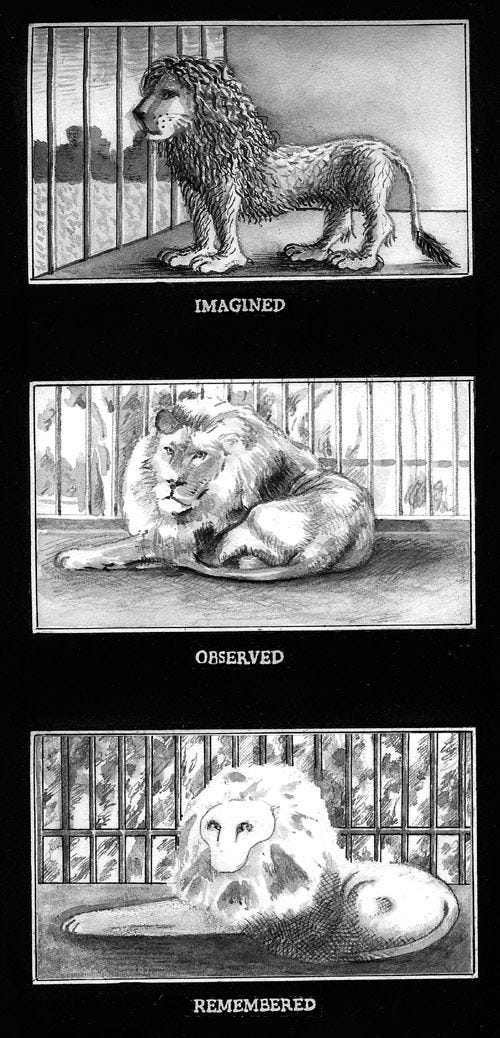 Peter Blegvad - Imagined, Observed, Remembered in 2023 | Illustration,  Imagine, Observation