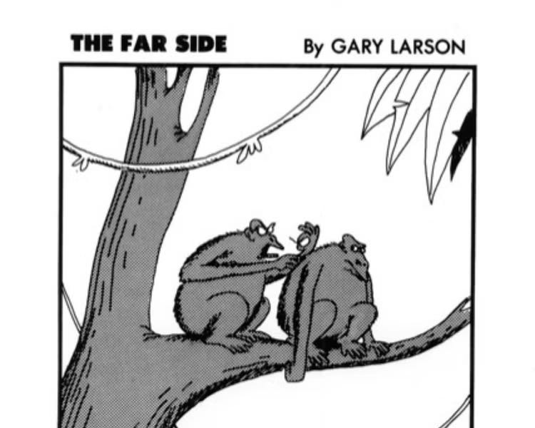 Jane Goodall and Gary Larson