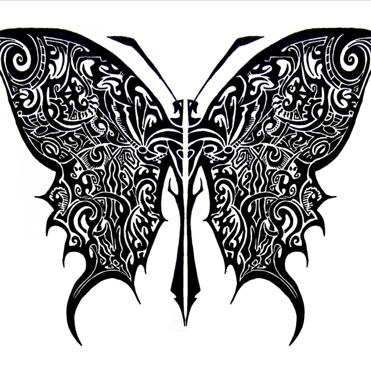 The Divergent Panorama