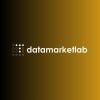 Logo de DataMarketLab