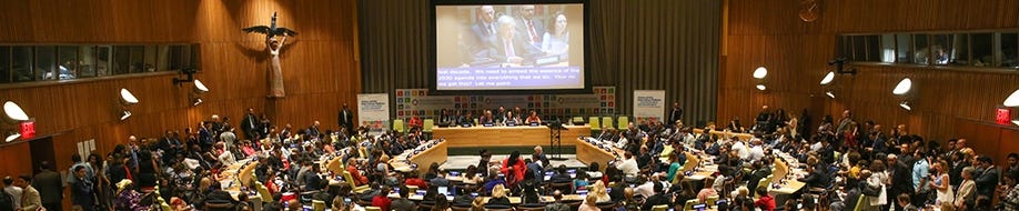 Supporting the Work of the United Nations - World Goodwill • Lucis Trust