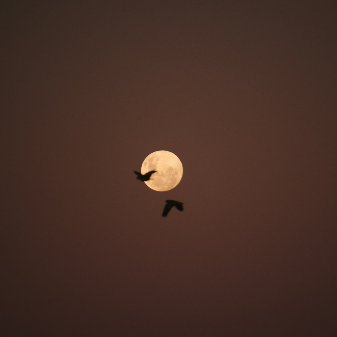 full moon in the sky