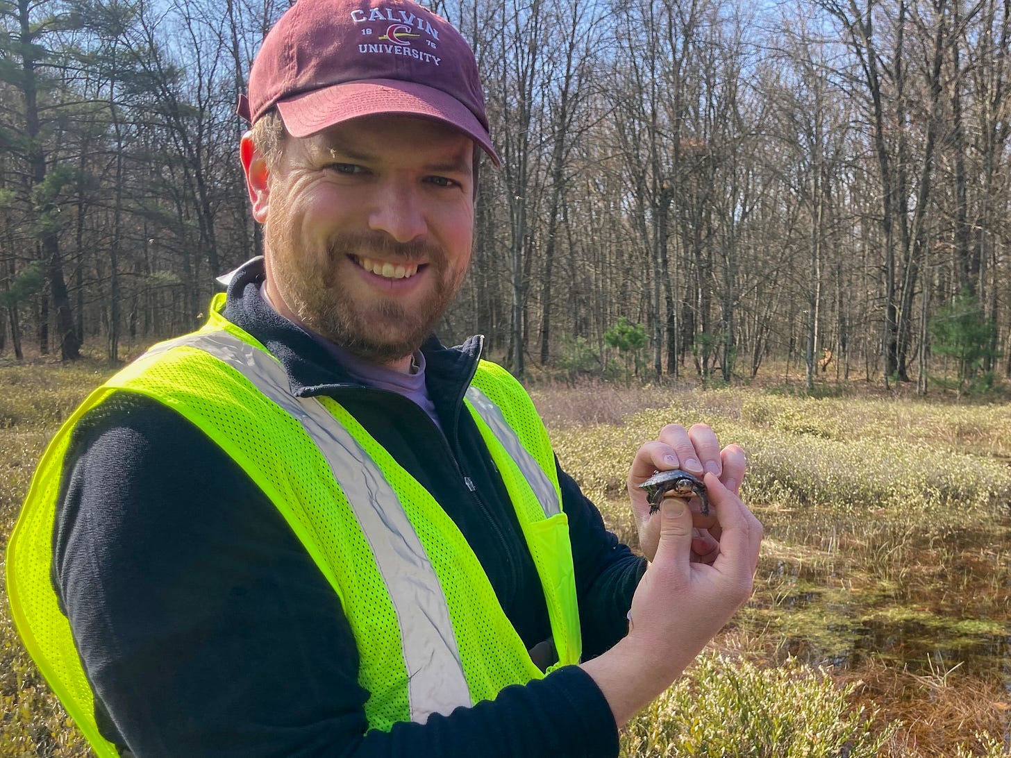 A man is standing in a wetland, holding a little turtle. 