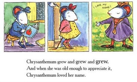 book} chrysanthemum – leslie d.
