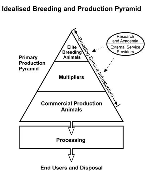 Figure 2. Text version below. Figure 2. Text version below.