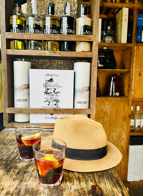Colorful Portuguese ceramic platters, tasty grilled scallops and two glasses of red vermouth with a panama hat at a bar in Spain
