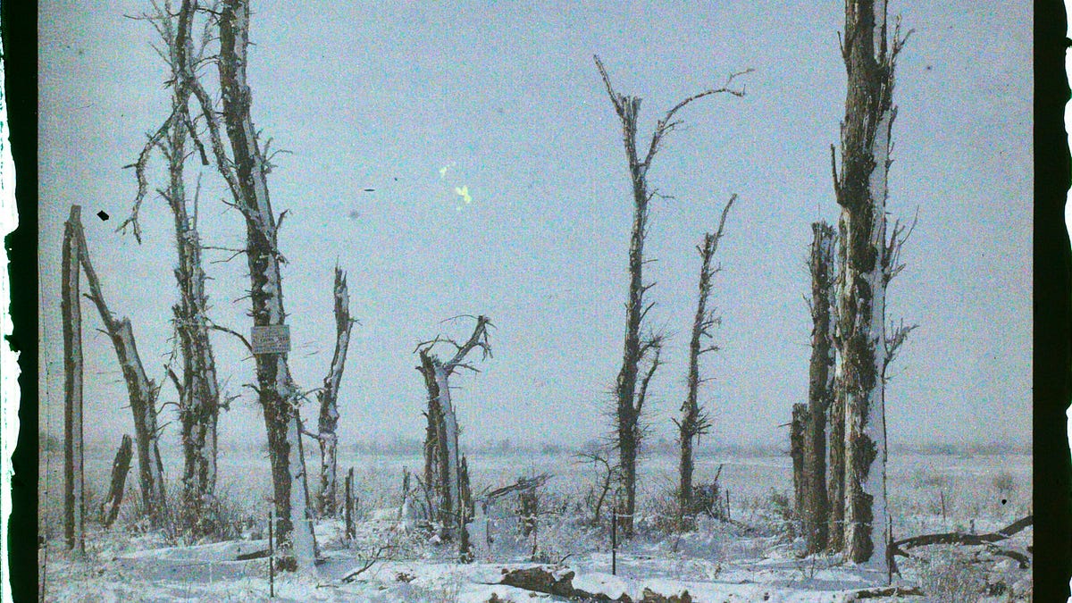 Nuclear war, nuclear winter, and the food system