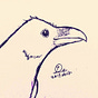 寒野's avatar