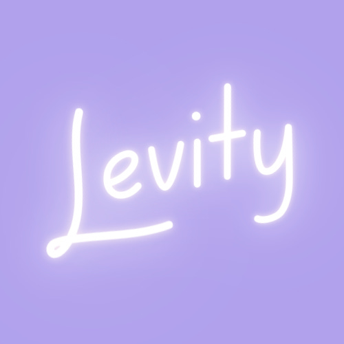 Substack profile picture for @levity