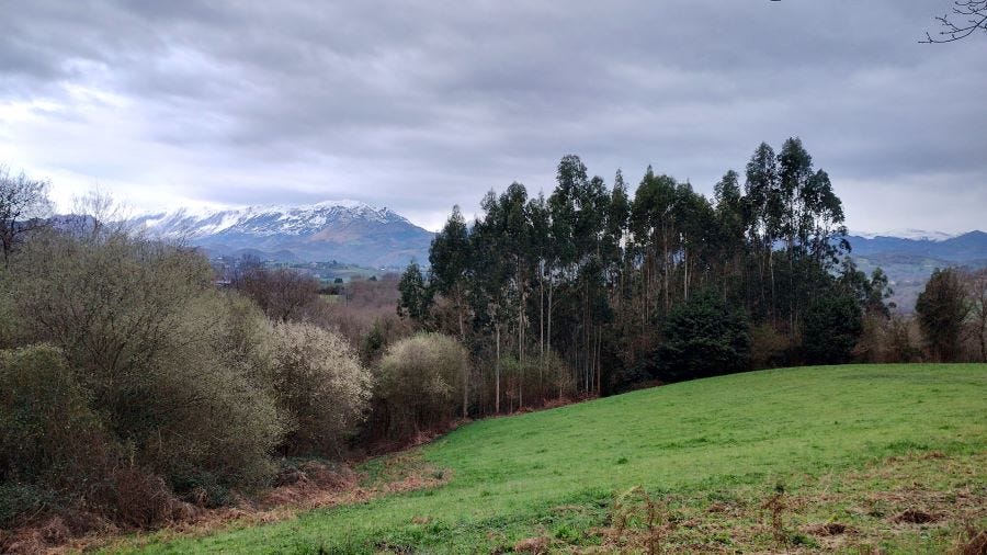 Camino Primitivo Etapa 1