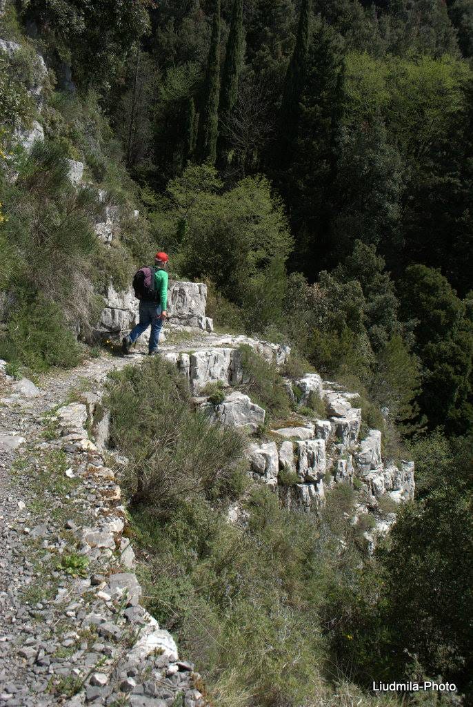 No photo description available.