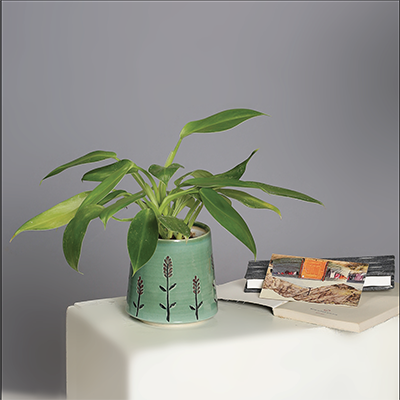 green plant