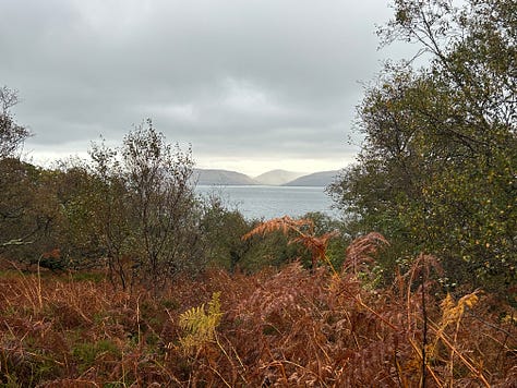 Photographs from Cloanaig Oakwoods, Kintyre