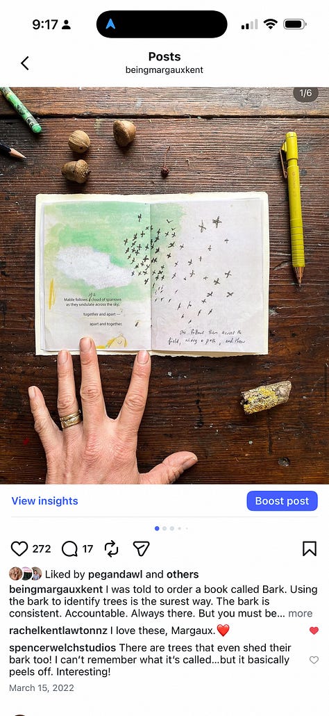 Past 100 Day Projects