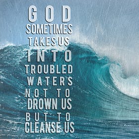 The Cleanse