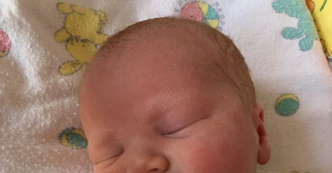 the-gospel-of-life-by-jd-flynn-and-ed-condon