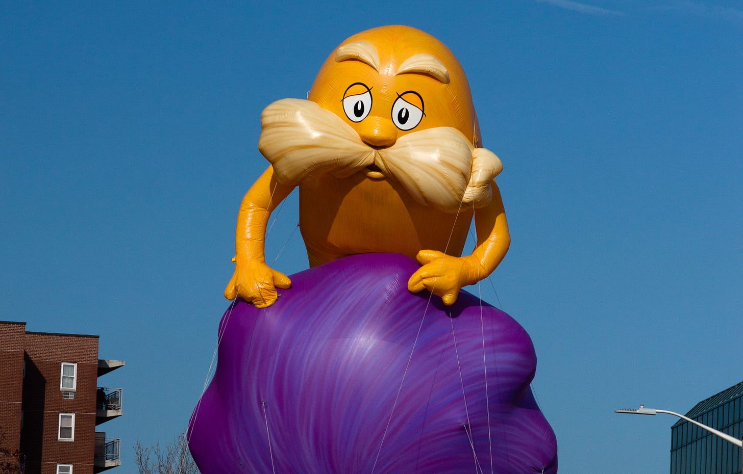 The Lorax