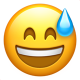 iOS 26.4