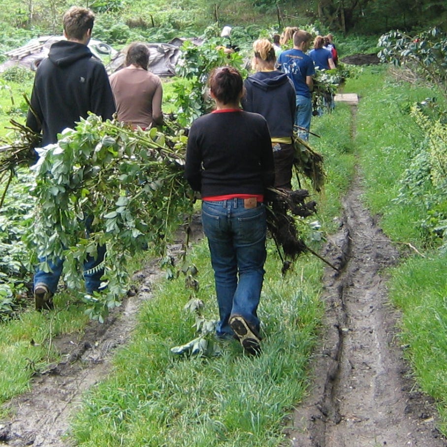 Toward societies wild, whole, and free.